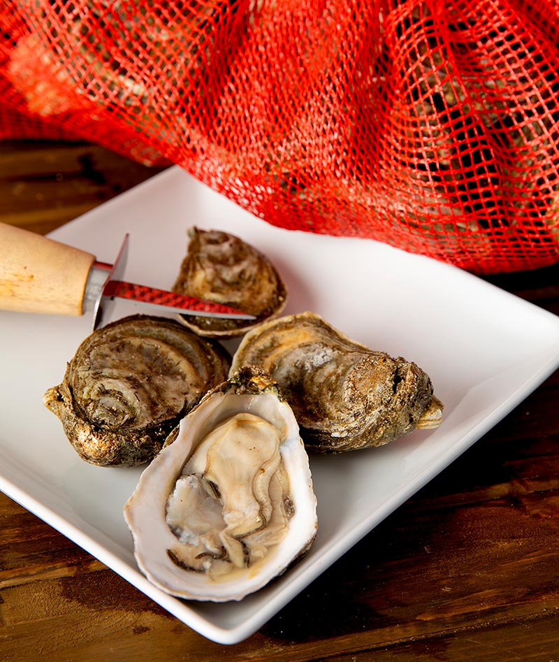 High Tides 25 CT Bag Chesapeake Wild Oysters in Shell - Sea Farms Inc.